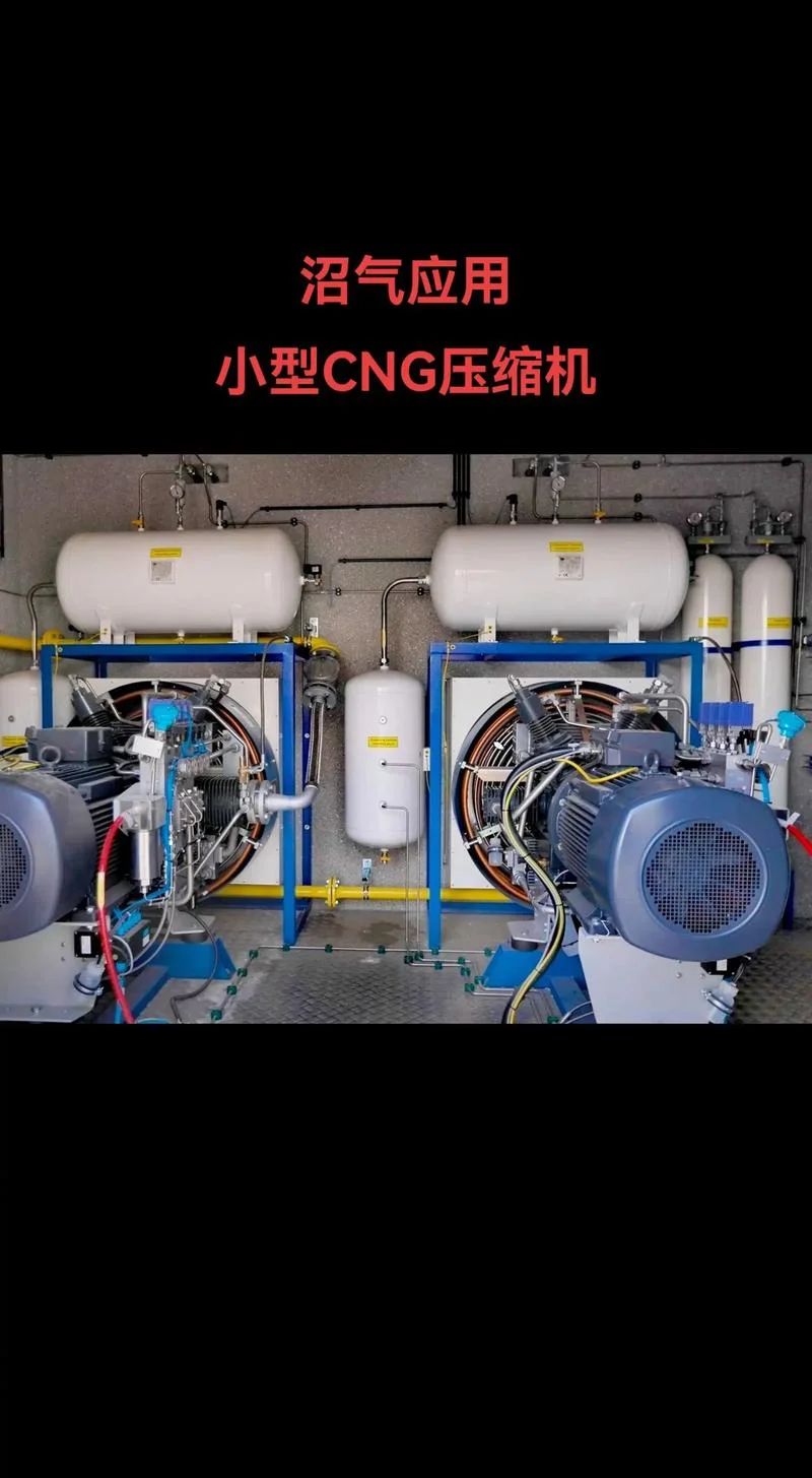沼气螺杆压缩机项目_1