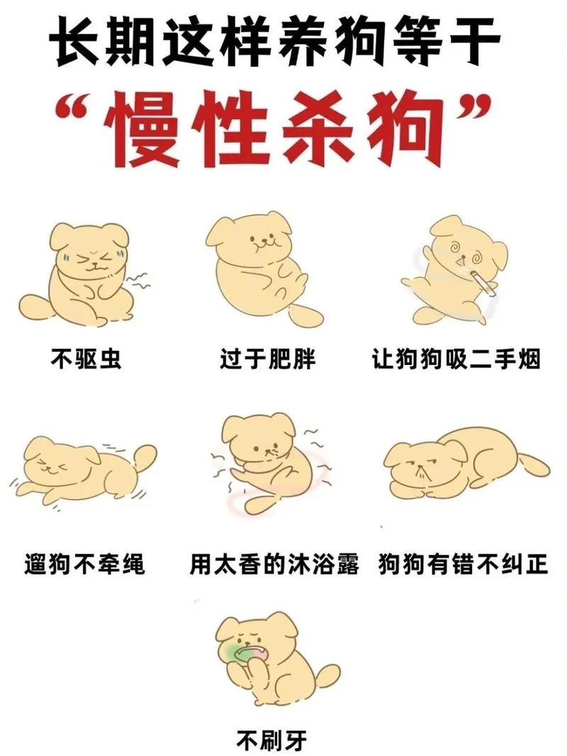 梦见狗咬 并杀死恶狗_2