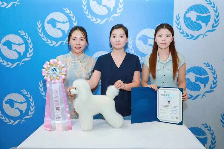 宠物美容培训报名-宠物美容培训报名