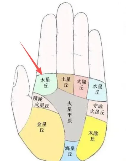 手相里命运线分叉_1