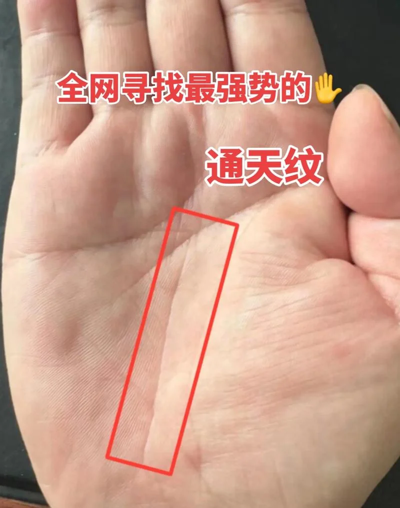 手相有准吗知乎-知乎手相准吗