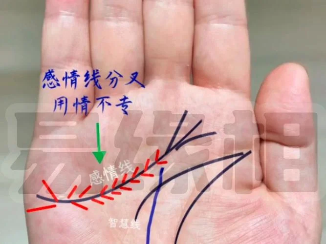 手相感情线分三叉_2