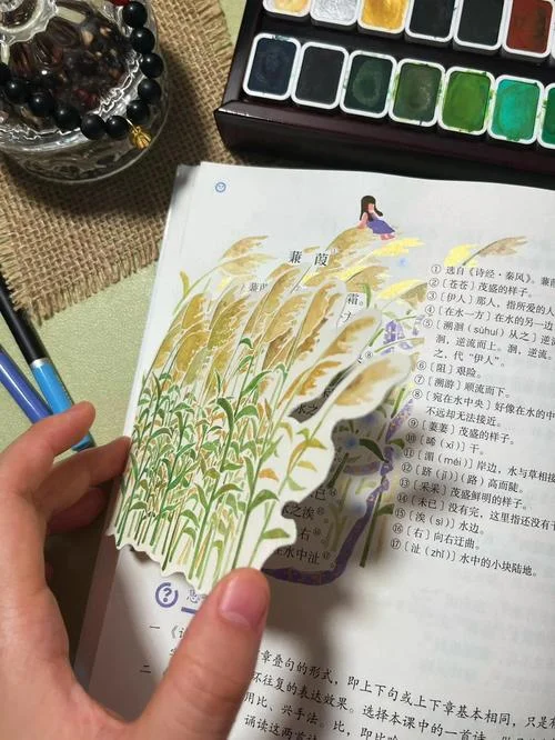 蒹葭出处_2