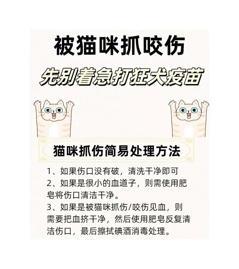 梦见抓猫什么意思-梦见抓猫寓意