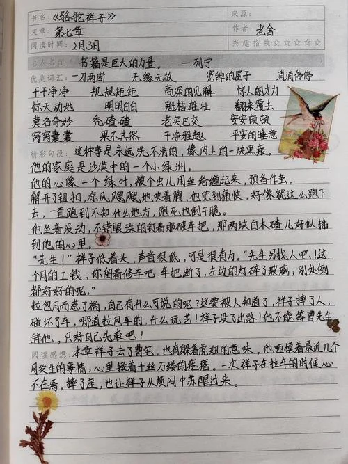 骆驼祥子1到3章感悟_1