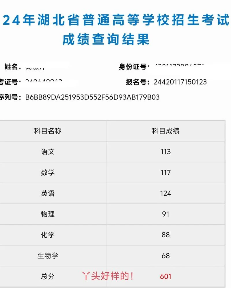高考服务网成绩-