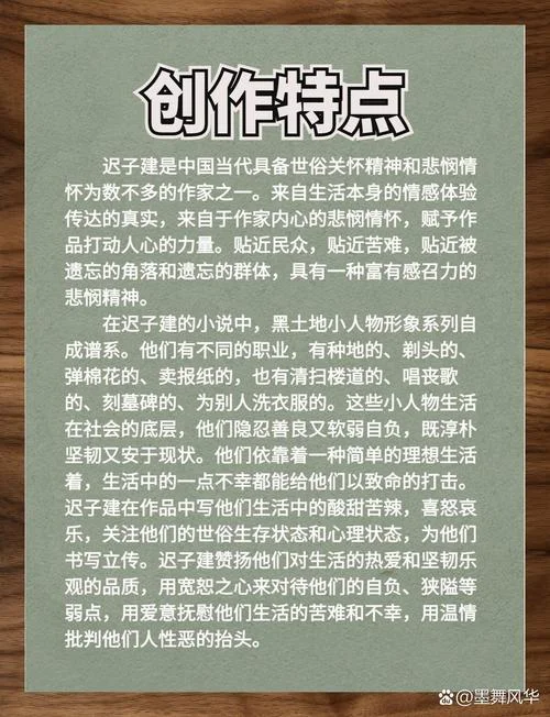 苦儿流浪记作者简介_1