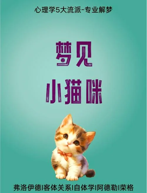 梦见猫咪生了好多小猫_1