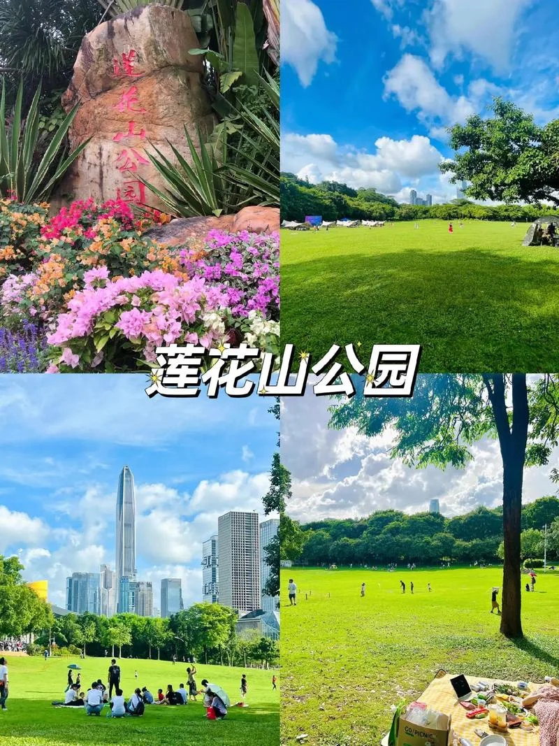 深圳有哪些免费景点-深圳免费景点推荐