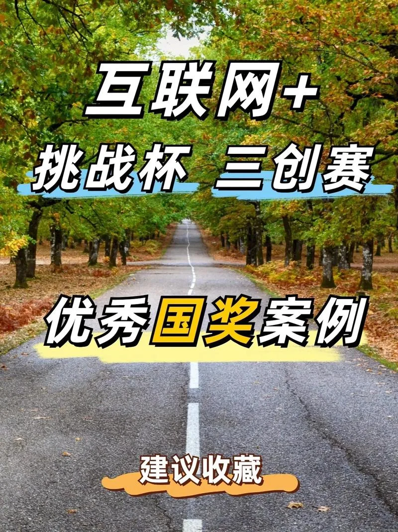 网络项目创业r_2