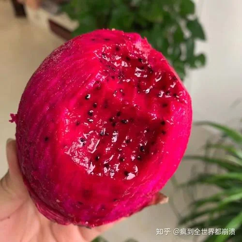 遗精为什么是红色的_1