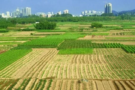一亩地面积大概多少_2