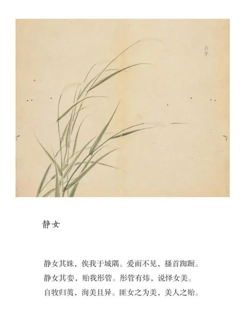 羽兮出自诗经_1