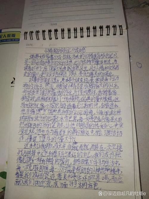 骑鹅旅行记读后感20个字_2