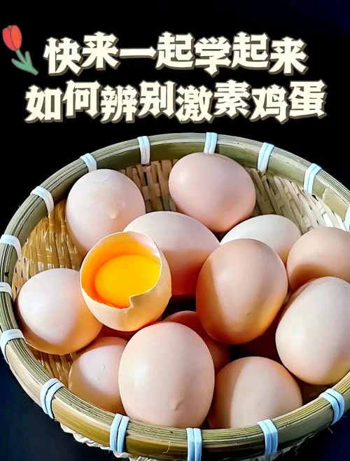 梦到一个鸡蛋什么意思-梦见鸡蛋预示新生