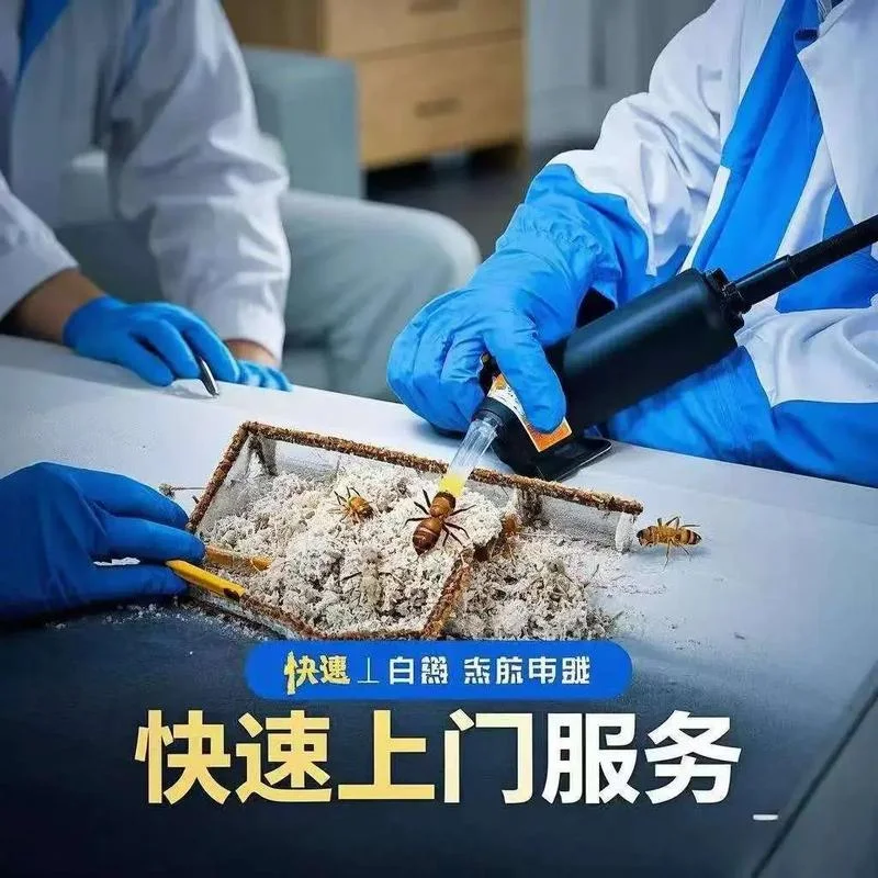 灭白蚁找哪家公司_1