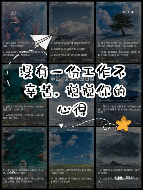 用心工作的感悟短句_1