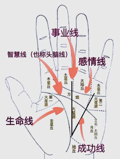 一张图了解手相_2