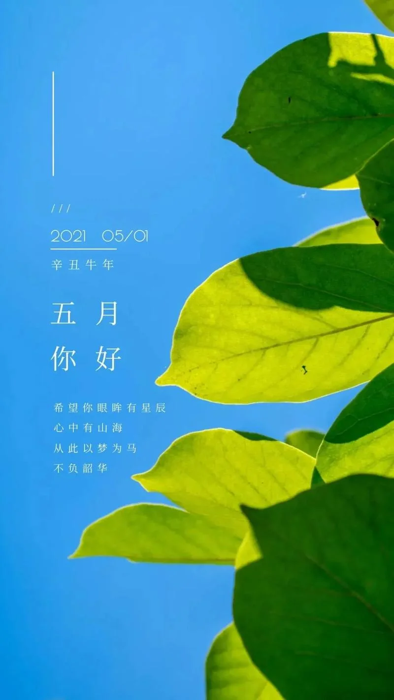 五月心情说说感悟生活_1