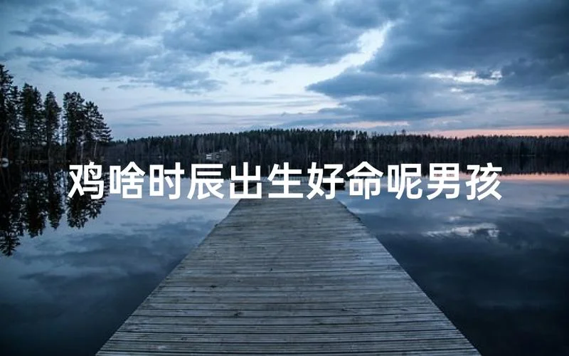鸡年几月生男孩好_2
