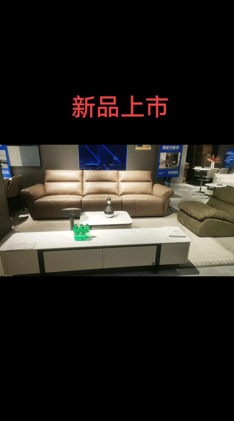 顾家家居两人沙发十大品牌排名_2