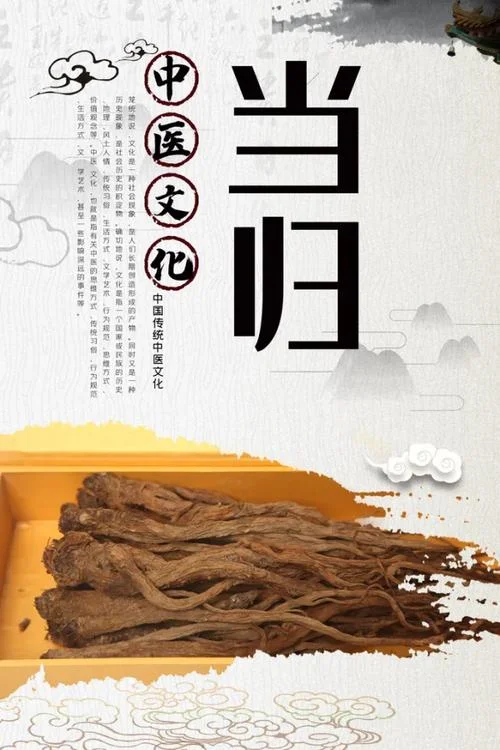 当归的历史文化-当归历史文化