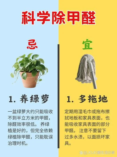 什么地方可以学除甲醛-哪里学除甲醛