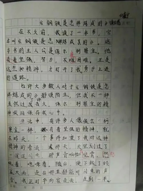 教育孩子的启迪读后感-教育启迪读后感
