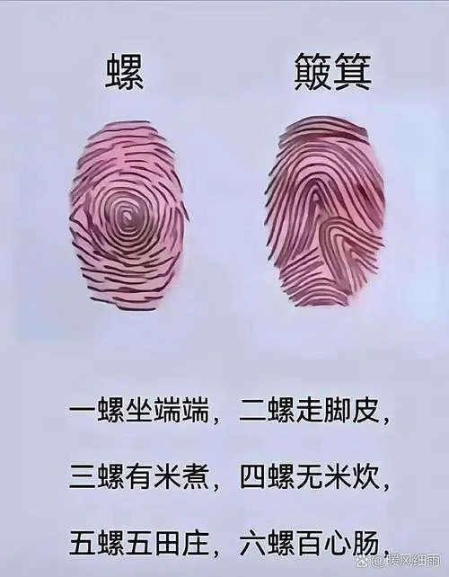 手相四个螺纹_1