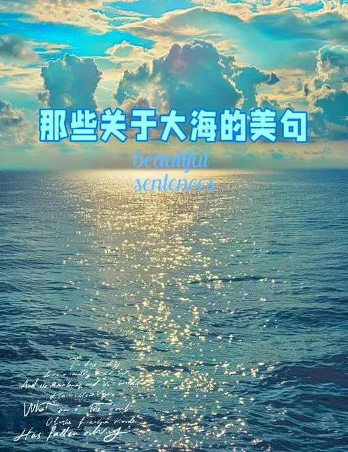 大海人生感悟的句子_1
