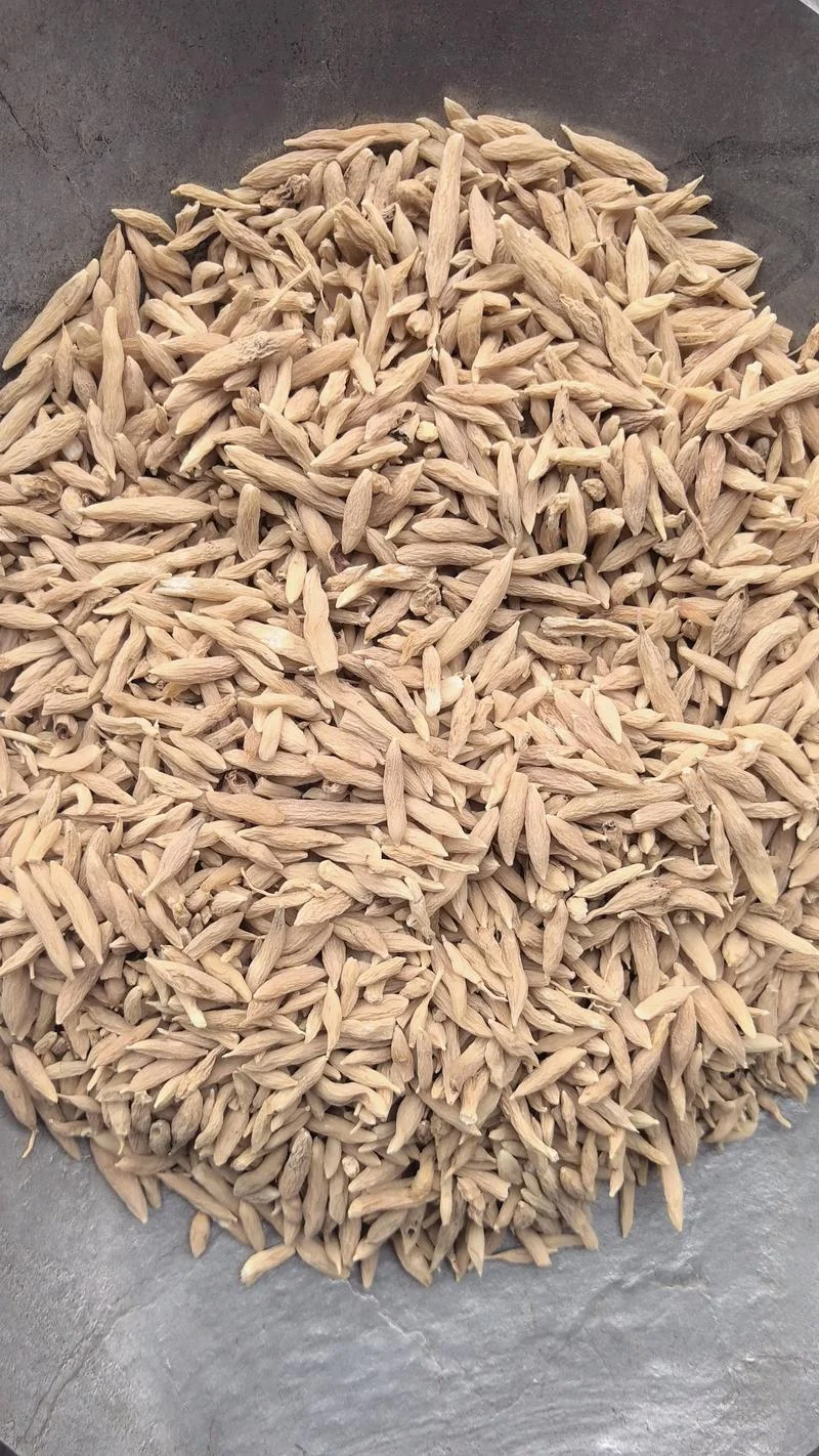 什么是麦冬_1