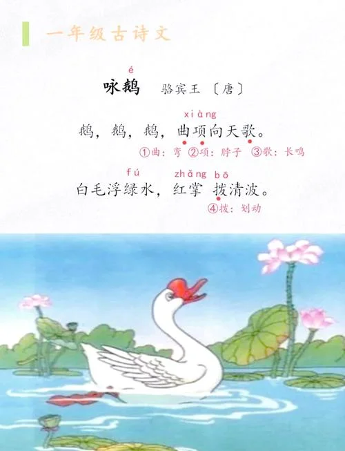 鹅的作者是谁写的课文_1