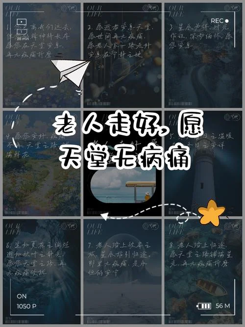 面对生老病死的感悟_1