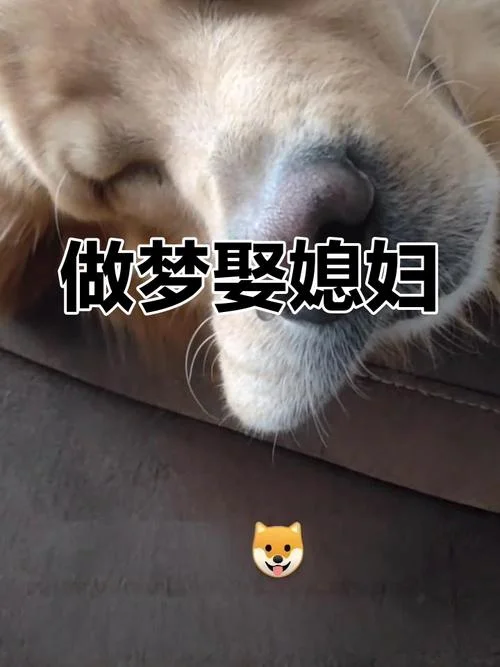 梦见取媳妇是什么意思_2