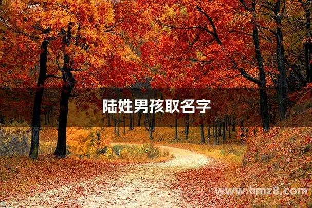 陆姓男孩起名简单大气_2