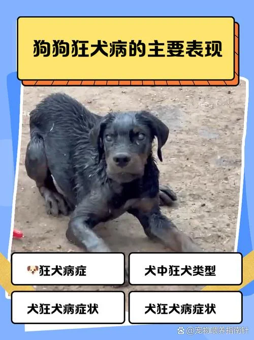 狂犬病历史数据-狂犬病史