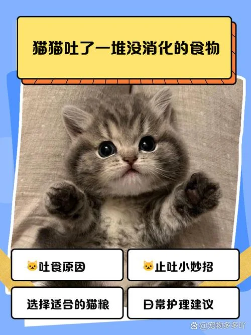 梦见猫吐了_2