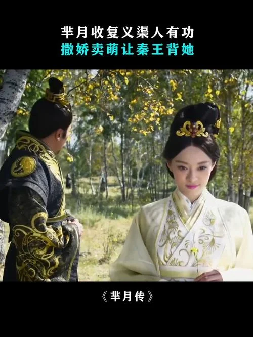 芈月传真的历史吗_2