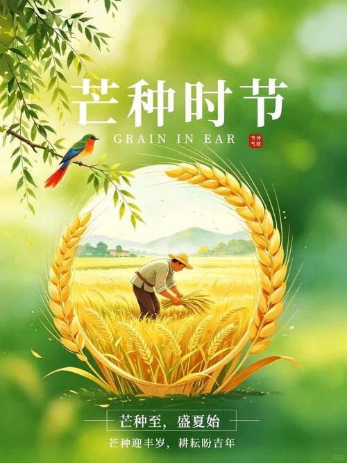 1967年芒种是几月几日_1