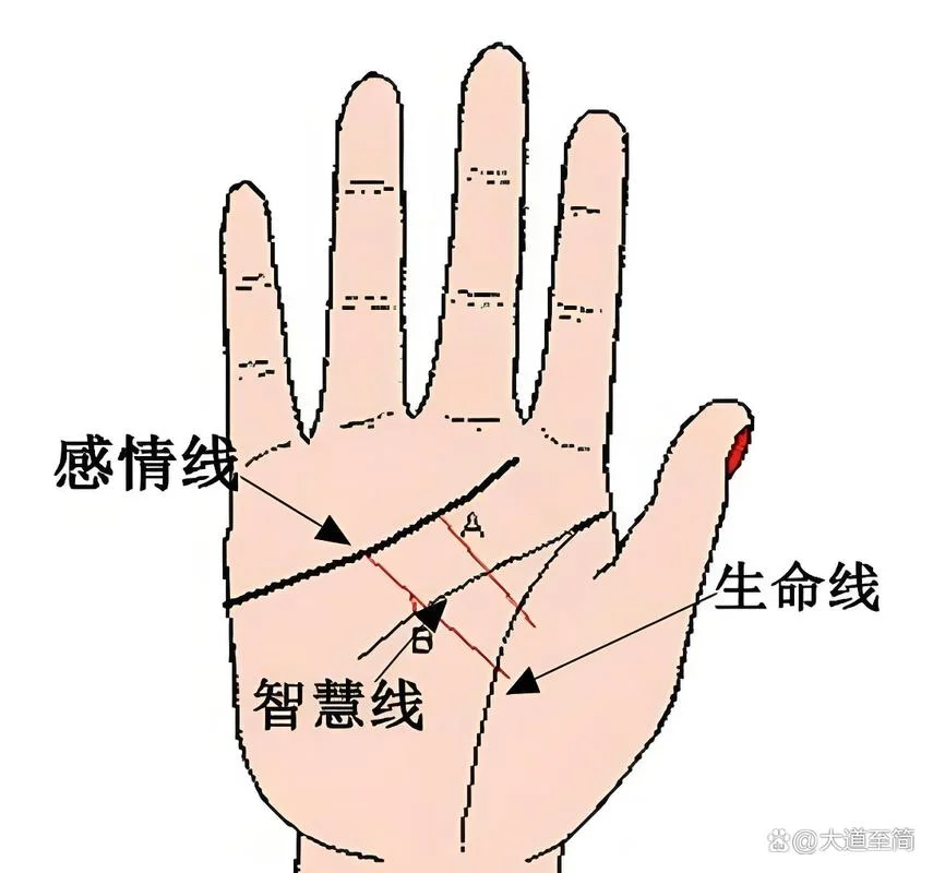 手相头脑线在哪_1