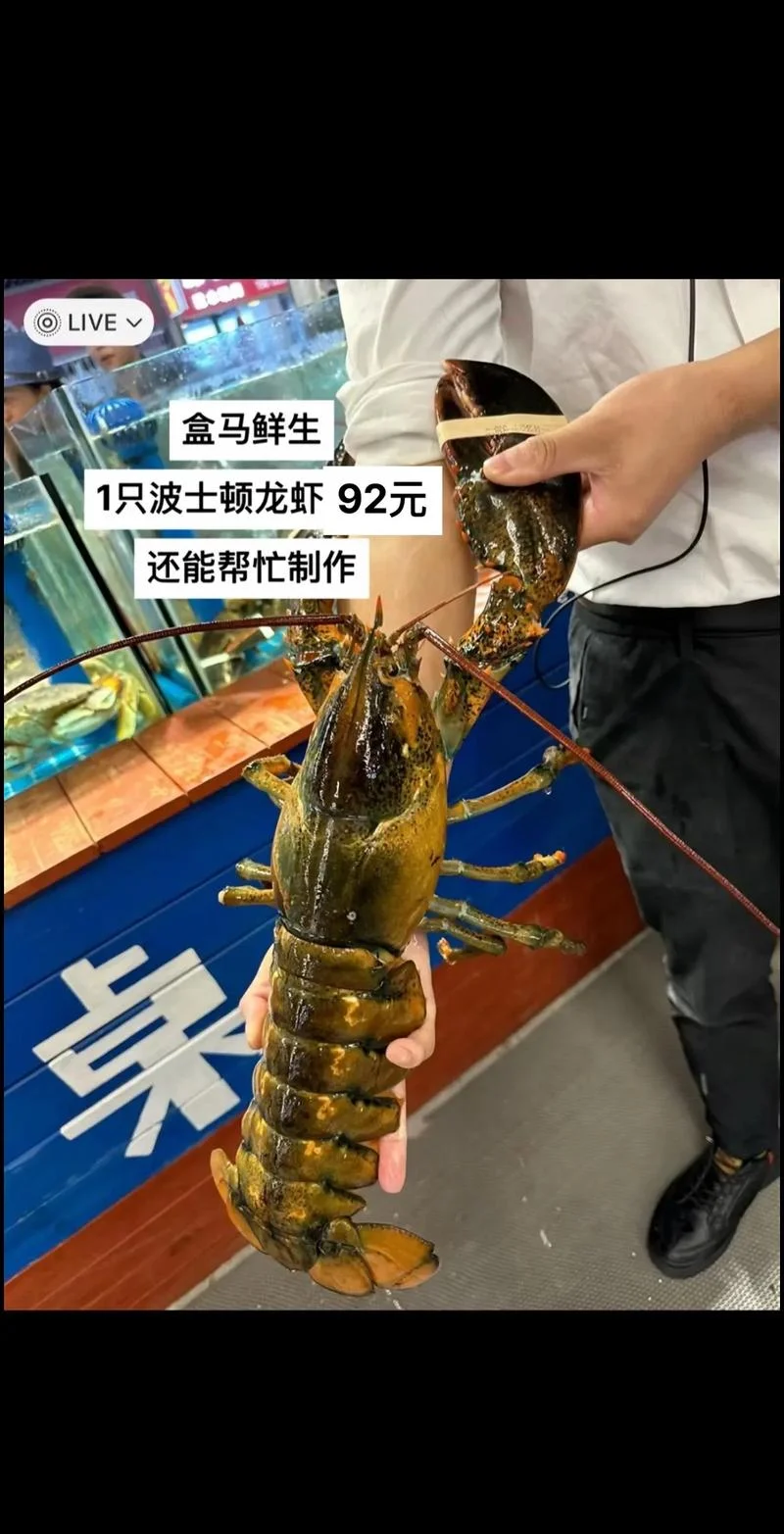 龙虾养殖一亩收入多少-一亩龙虾养殖收入