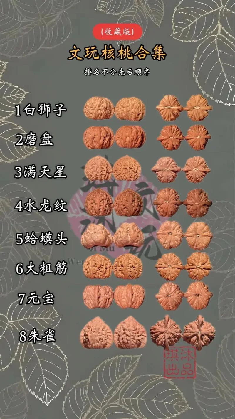 文玩核桃买什么品种_1