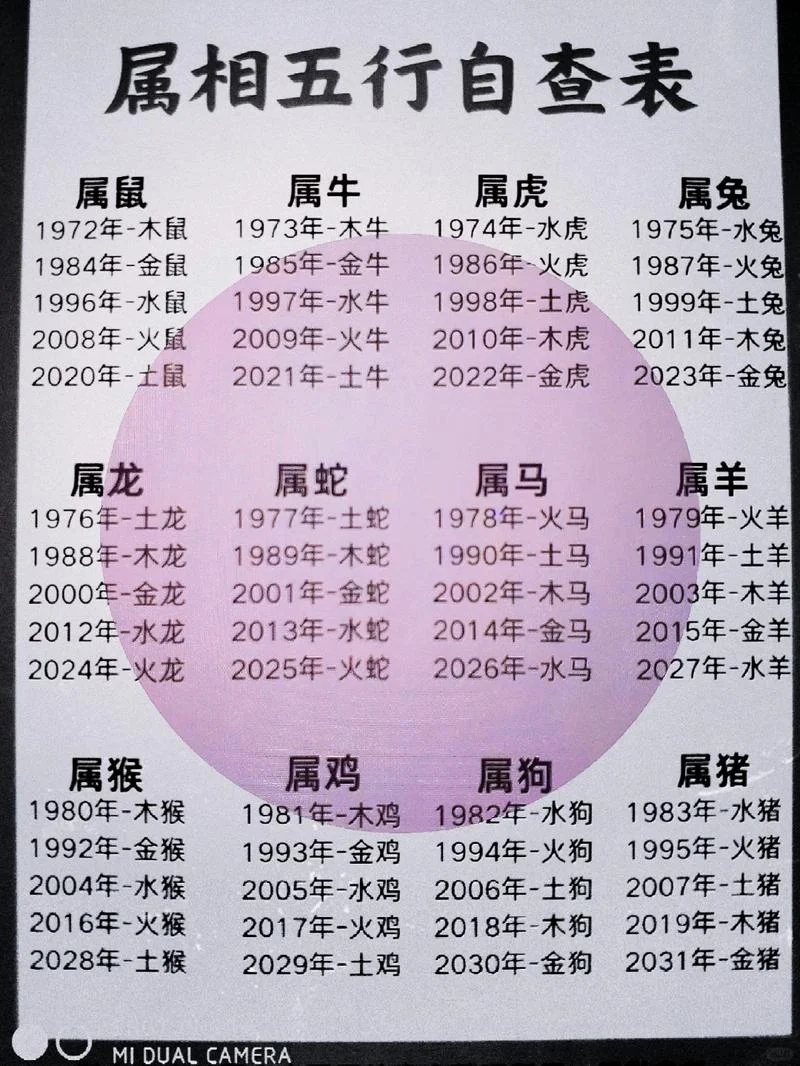 1953年是哪一年的生肖_1