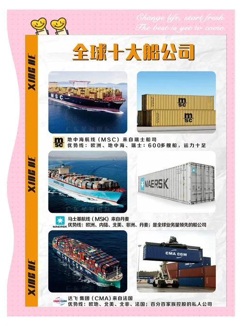 中波海运公司历史-中波海运发展史