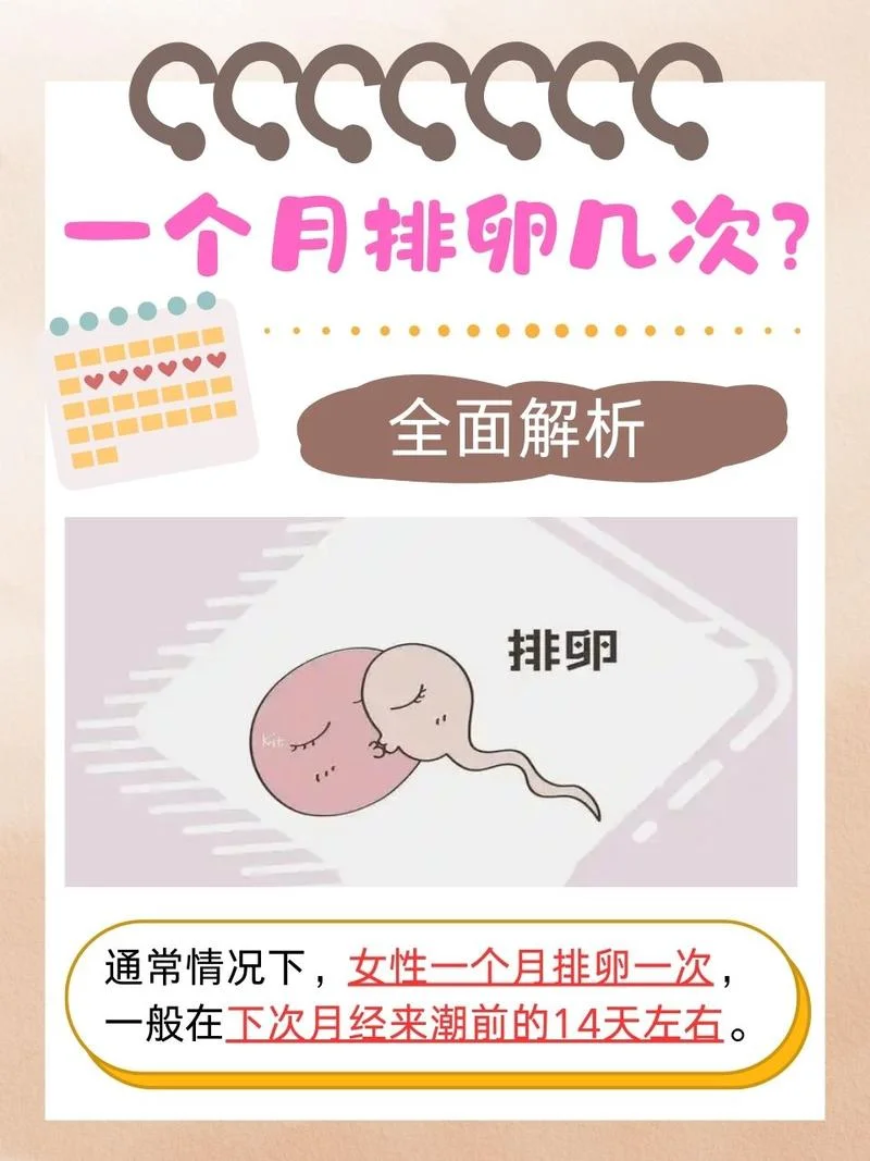 是排卵期为什么没怀孕_1