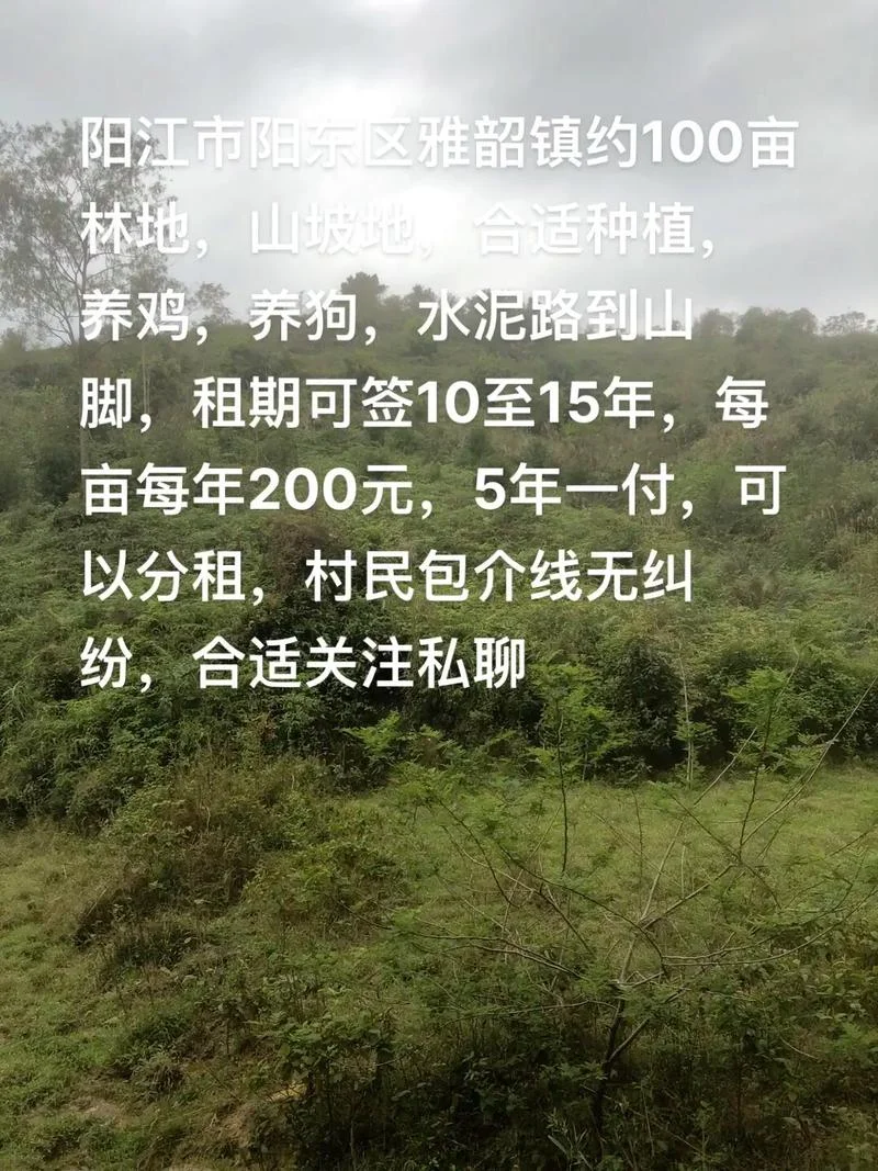 100亩地能卖多少钱_1