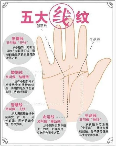 女生给你看手相_1