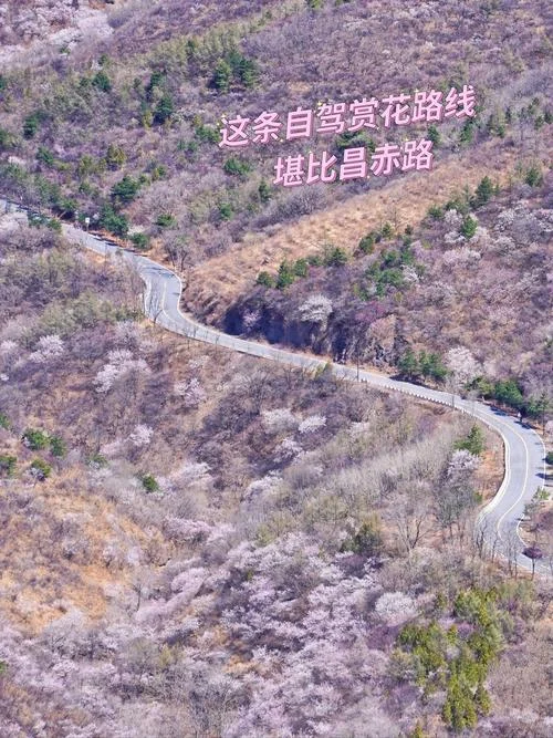 北京自驾游八日的价格_1