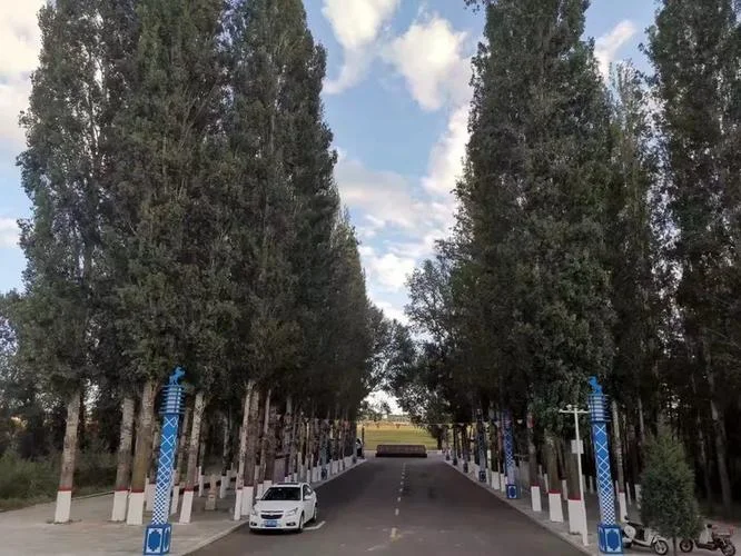 和林格尔县民族中学_2