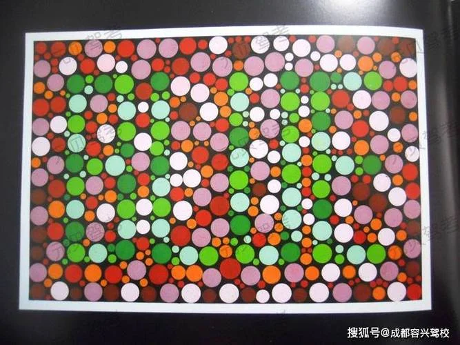 驾驶证体检是体检什么项目_2